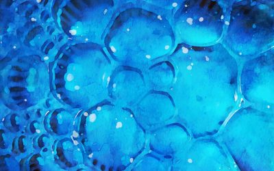 A longevity kulcsa a sejtjeinkben rejlik?